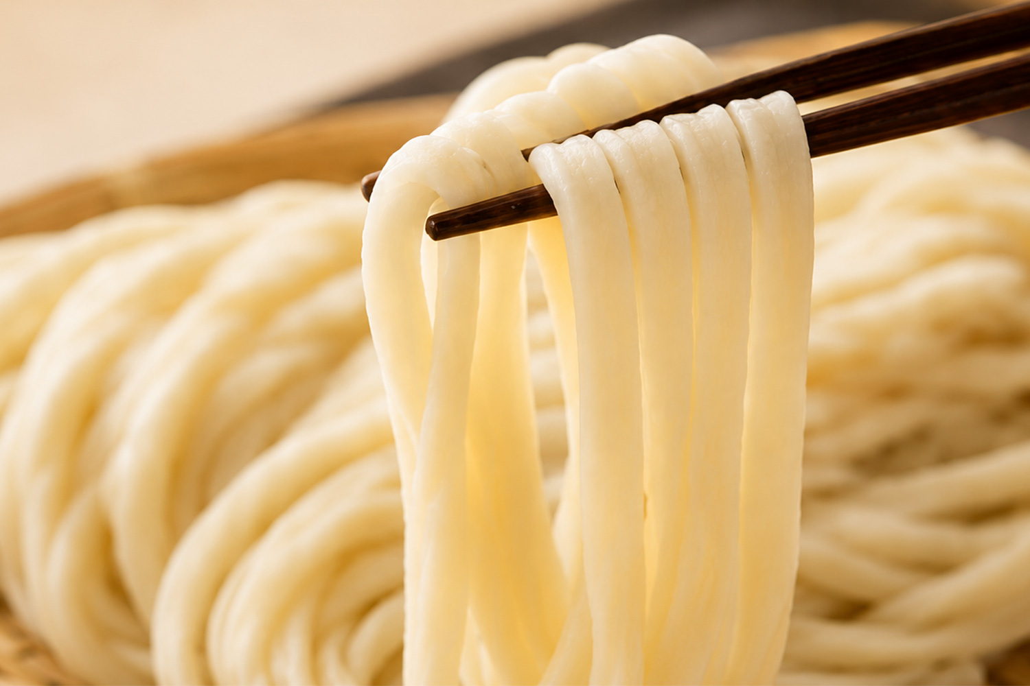 本生うどん