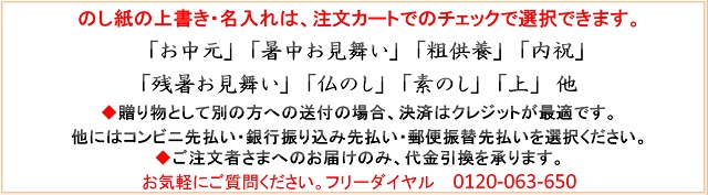 のし紙　名入れ　無料